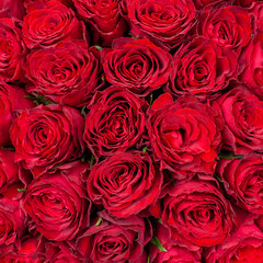 Bouquet of red roses. 