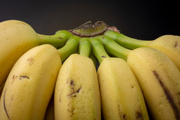 Closeup of brightly lit dozen ripe yellow bananas standing upright bound together still by their...