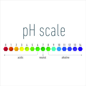 ph scale. infographic acid-base balance. scale for chemical analysis acid base