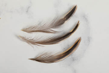 real chicken feather fore lure soft brown decoration