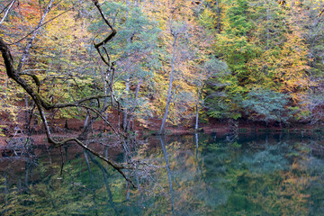 Lake and forest nature view. Autumn and forest view camping outdoors. seven lakes in Turkey. Lush greenery reflection in water surface of primeval forest lake 