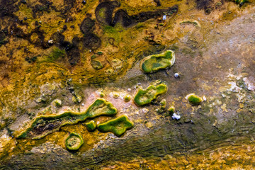 Close-up view of stream of water from thermal pool with mysterious, brightly coloured, vibrant sulphuric, primordial-like, algae & mineral formation below the surface.