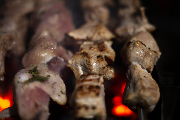 Shish kebab grilled