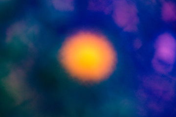 Dandelion clock in morning sun.