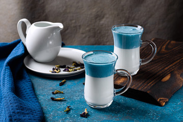 Latte Blue Pea or Latte Blue Match. Hot fresh milk with blue butterfly pea flowers or latte ternatea clitoria in a glass cup