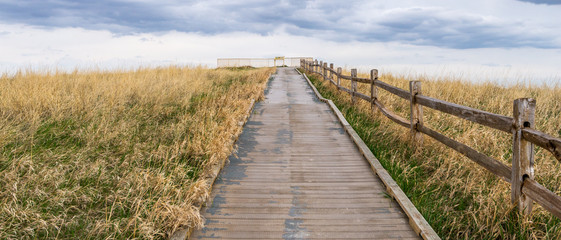 Fototapeta premium Following a path through a field