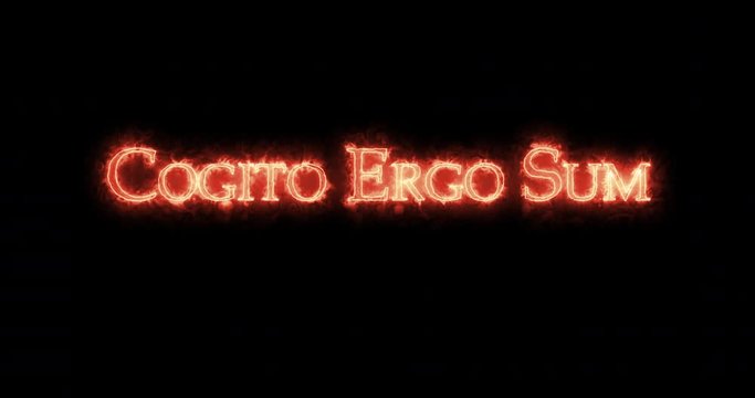 Cogito Ergo Sum written with fire. Loop