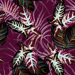 Fototapeta na wymiar Tropical Leaf. Modern Motif. Jungle Print. Summer