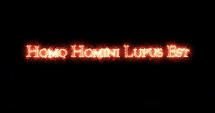 Homo homini lupus est written with fire. Loop