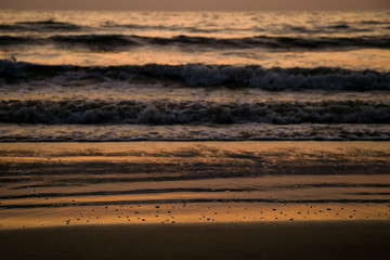 Vista del atardecer en las olas de la playa con diferentes colores
