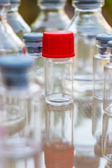 pequeña botella de vidrio transparente con tapa de color rojo junto con otras botellas pequeñas