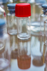 pequeña botella de vidrio transparente con tapa de color rojo junto con otras botellas pequeñas