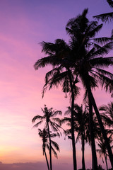Beautiful outdoor view with silhouette coconut trees at tropical coast  at the purple sunset sky