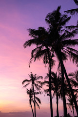 Fototapeta na wymiar Beautiful outdoor view with silhouette coconut trees at tropical coast at the purple sunset sky