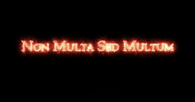 Non multa sed multum written with fire. Loop