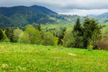 Obraz premium beautiful rural scenery of mountainous area. countryside landscape on an overcast day in spring