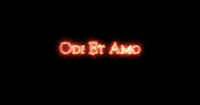 Odi et amo written with fire. Loop