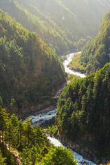 River curve in Everest region surrounded by pine tree forest, Himalaya mountains range in Nepal