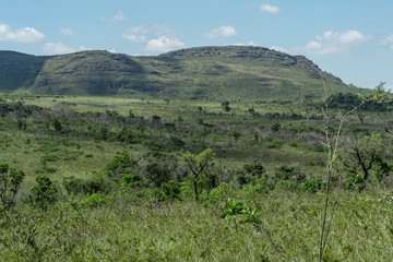 Naklejka premium chapada diamantina