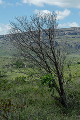 chapada diamantina