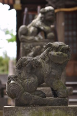 Fototapeta na wymiar 狛犬、神社