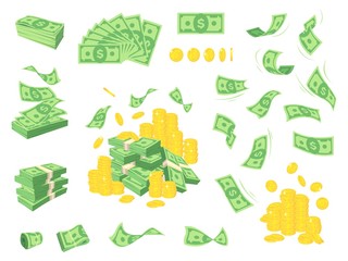 Set a various kind of money. Packing in bundles of bank notes, bills fly, gold coins. Vector cartoon money illustration.