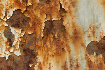  Rusted brown and white abstract texture.  Corroded white metal background.