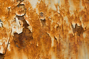 Rusted white painted metal wall. Metal  abstract texture. Rusty metal background closeup.