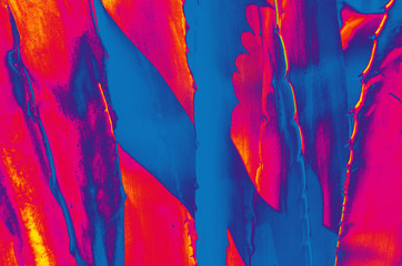 cactus in the tropics, pink and blue colors, summer