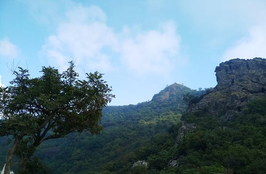 clouds in the mountains 
The Forest and Mountain is Sammed Shikharji ,bihar,india
Beautiful Nature