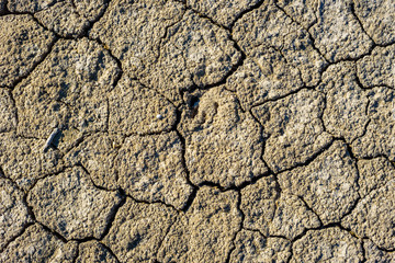 Dry cracked soil in a nature park near the city of Elche. Province of Alicante. Spain