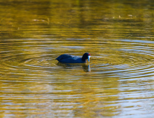 Incredible natural park near the city of Elche. Province of Alicante. Spain