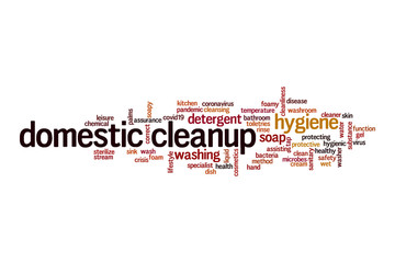 Domestic cleanup word cloud concept