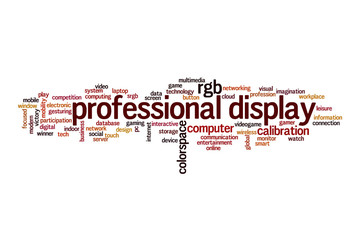 Professional display word cloud concept