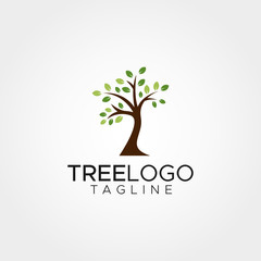Simple minimalist tree logo design vector template
