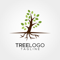 Simple minimalist tree logo design vector template