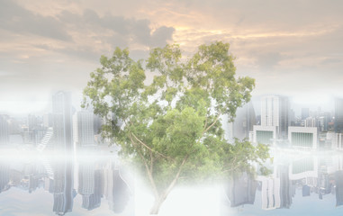 Tree with city background