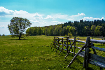 Fototapeta na wymiar an old wooden fence in the field