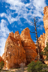 Bryce Canyon Rock