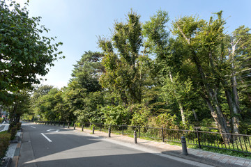 Fototapeta na wymiar 風の散歩道（東京都三鷹市）