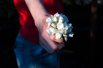 A bouquet of white apple flowers in the girl's hand.