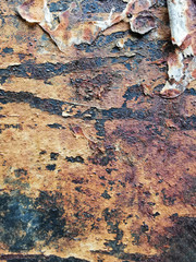 Old rusty texture to use as background for your original design