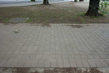 公園の舗装された道