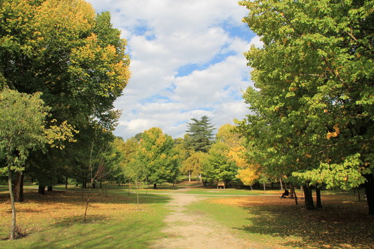 Scenic View Of Green Landscape And Trees Against Sky