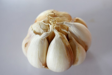 Garlic isolate on white background