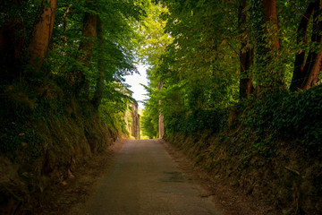 Obraz premium Veules-les-Roses