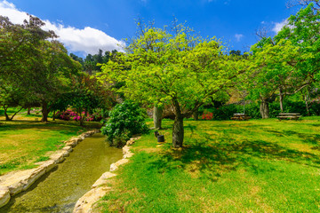 Maayan Harod National Park. Northern Israel