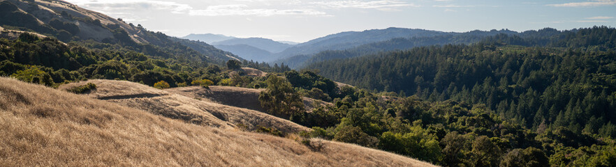Naklejka premium San Andreas Fault. silicon valley