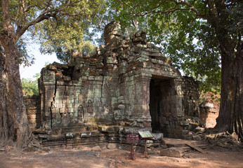Ta Prohm temple. Cambodia.