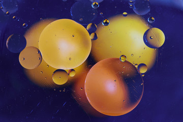 Colorful circles, abstract effect of oily drops on the water, on the black background.